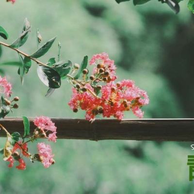 奇亿果体育官方,下载