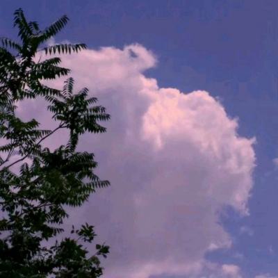 乐鱼app登录入口手机app下载