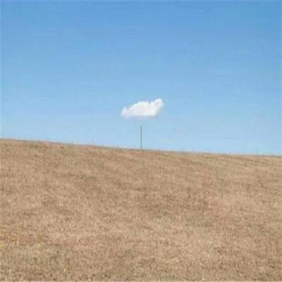 AG直装官方下载