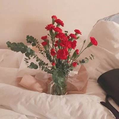 乐鱼app官方下载截图